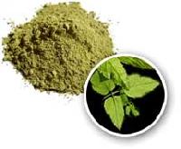 Manufacturers Exporters and Wholesale Suppliers of Henna Powder Balotra Rajasthan